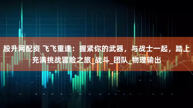 股升网配资 飞飞重逢：握紧你的武器，与战士一起，踏上充满挑战冒险之旅_战斗_团队_物理输出