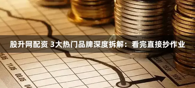 股升网配资 3大热门品牌深度拆解：看完直接抄作业